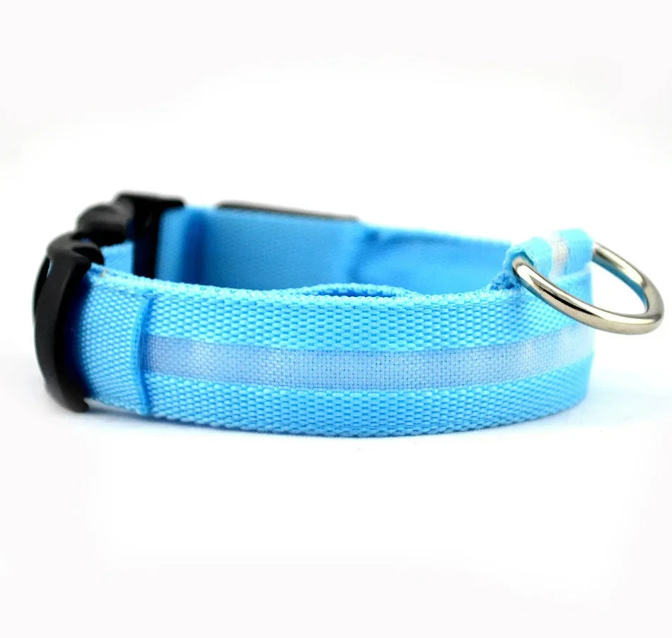 Premium LED Dog Collar - Glowing Night Safety Nylon Collar